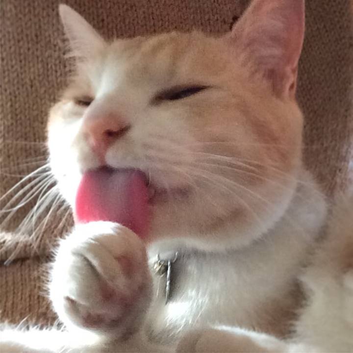 A2112dd7 76ca 4ee7 9635 76a41523bc39 1519521839689