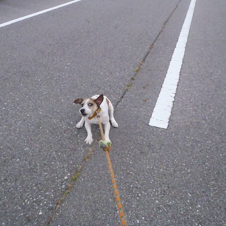 A21149a0 08ba 43e5 a5fa 65a15c7aaf49 1510828309093