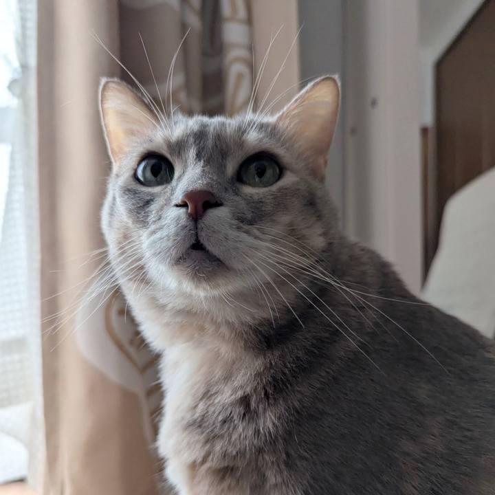 A2115940 d932 45ea 8b4d a51aa51a4cc7 1767437473479