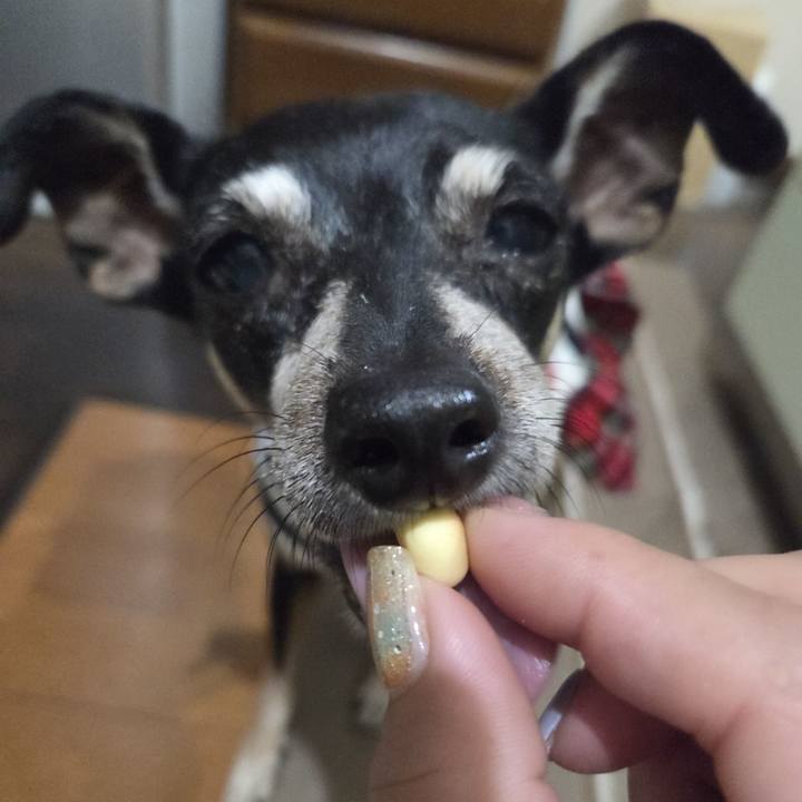 A21165bc a3c3 4b67 9649 9953715a0c9f 1759001974613