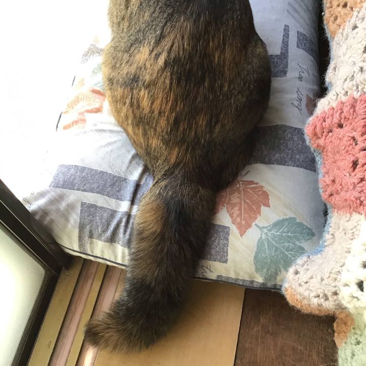 A2119754 f287 4b5d 984c ed62269315e8 1614048276175