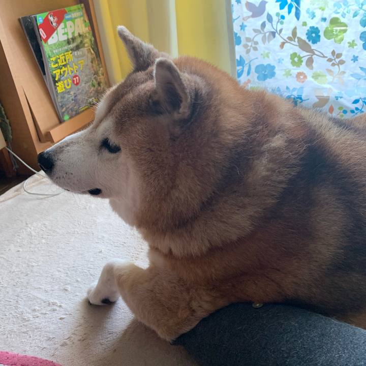 A211c3d1 fe17 442f adc3 26e730e2355e 1595130486870