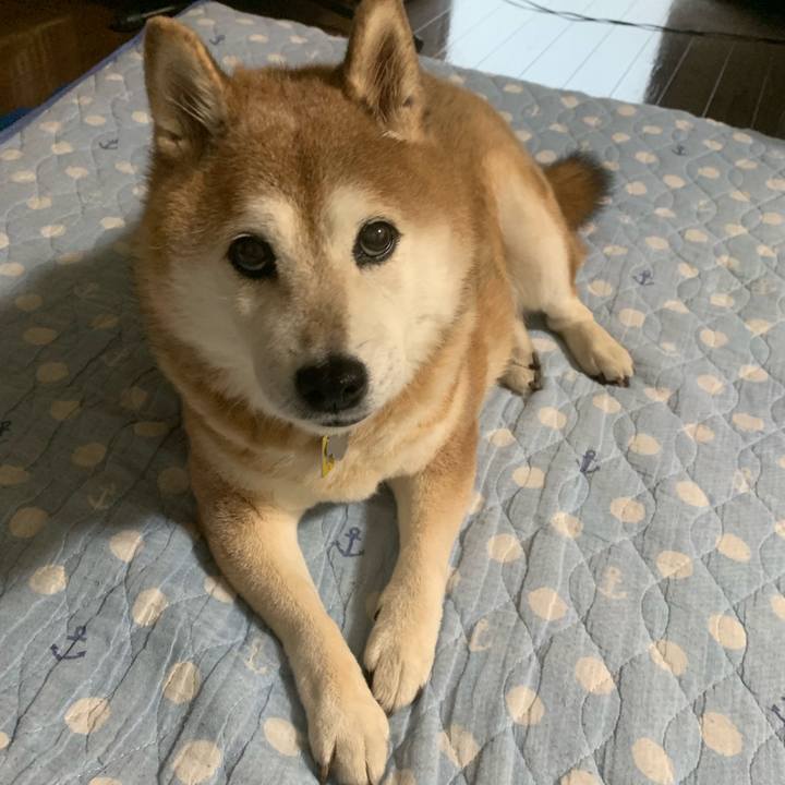 A211e26f e457 4476 a097 79684833c374 1570837467347