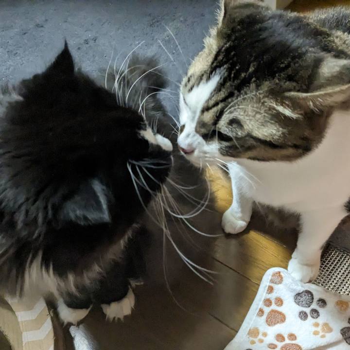 A211e547 cf87 40ad 9b87 8f3139f58b4b 1704617156783