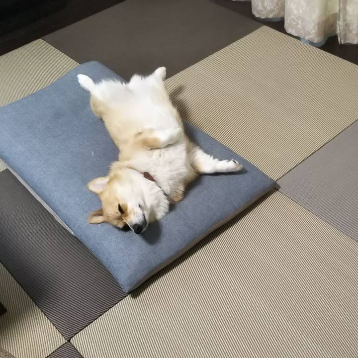 A211ed3f e689 4955 b201 f5adfa6d421b 1530925984826