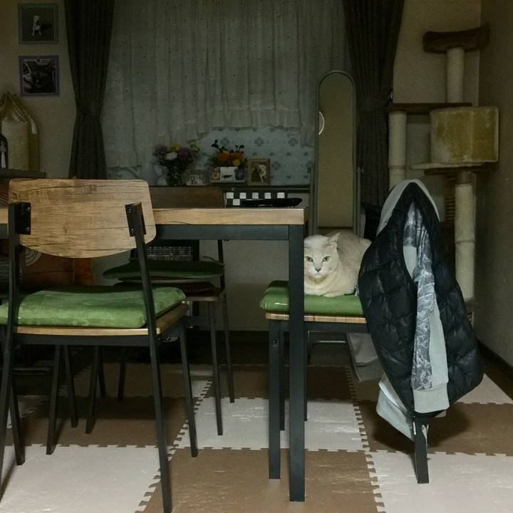 A211eebe 6635 486c b013 65c4664057eb 1577795149030