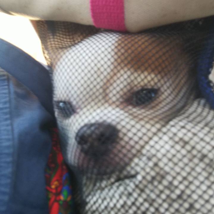 A2121257 fd1c 4bc3 a662 676fd060f1cb 1582444137294