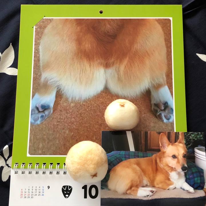 A2123c52 60eb 4166 8154 41e27aeee69b 1601518538501