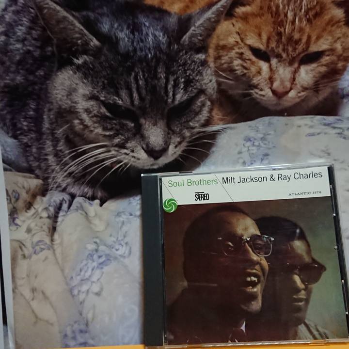 A212627a f7dc 4500 b4a9 554edb06c896 1620133653602