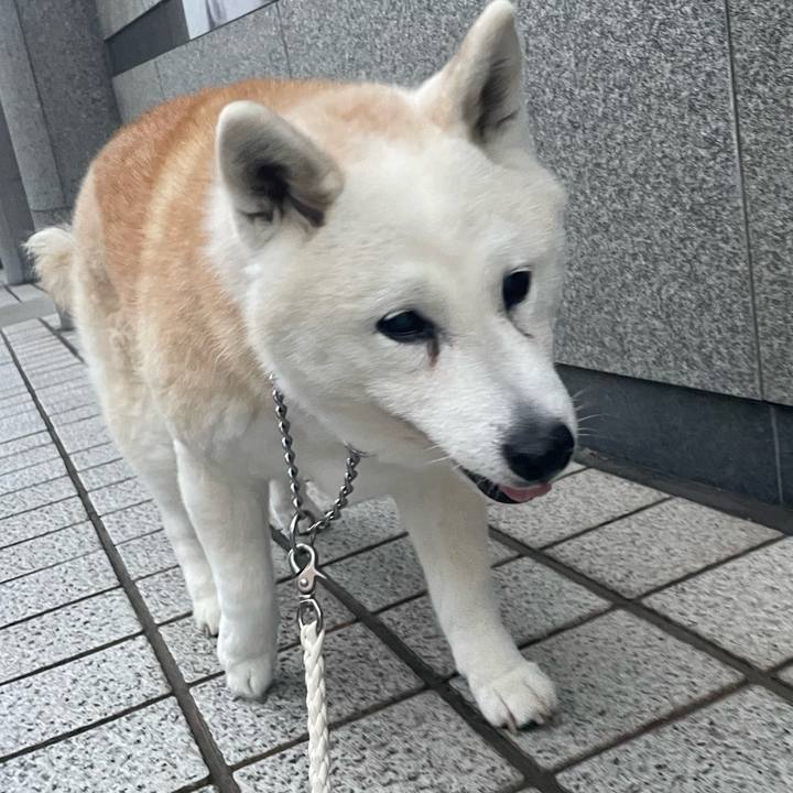 A2128b99 7e9b 4ae0 a166 8f59d06ce775 1708431478026