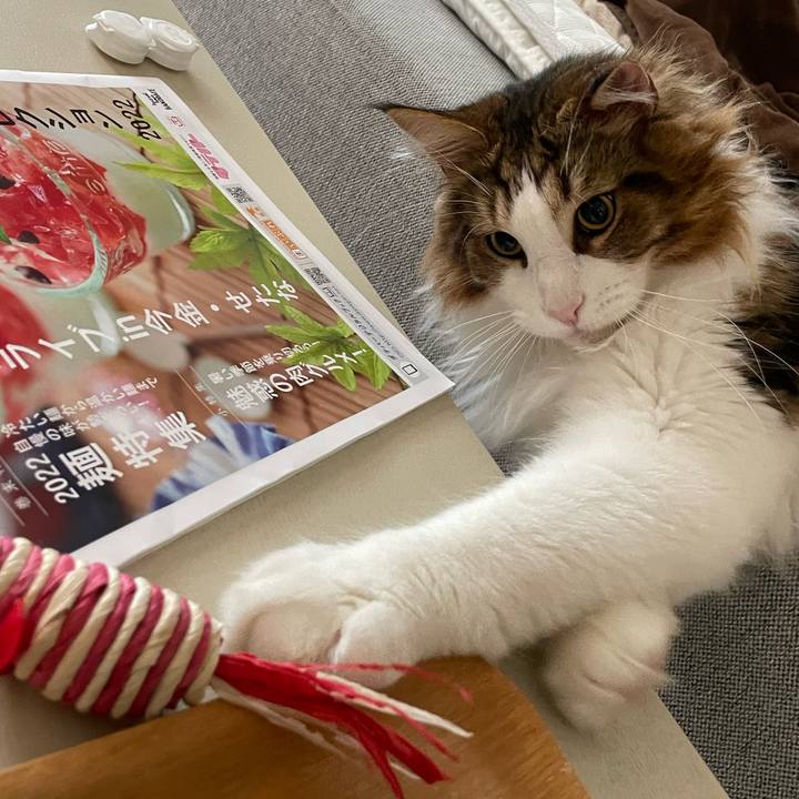 A2128d51 fd11 42fb acb6 415ef81c81f8 1657140052470