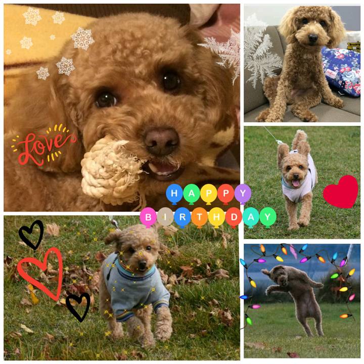 A2128eae 9be8 454e 9be4 8f740d203043 1513503809183