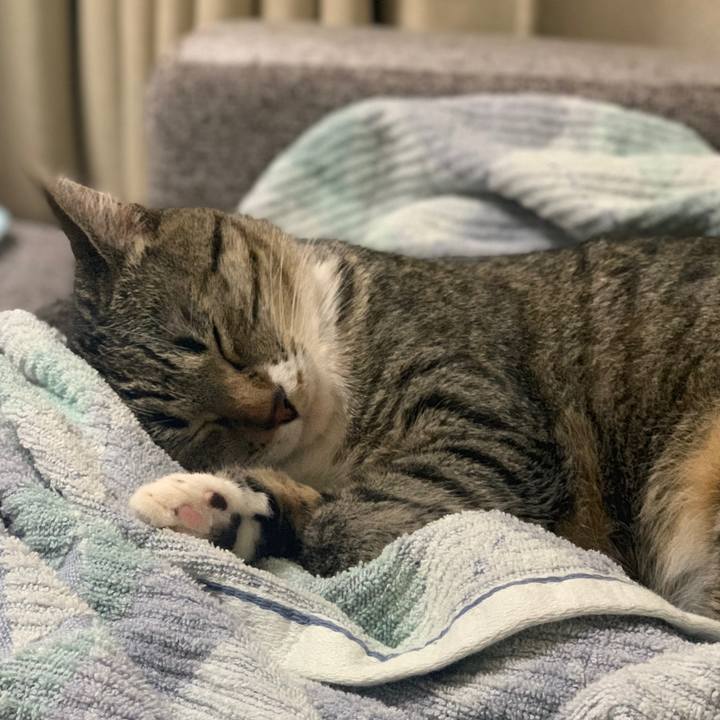 A21298c0 fb98 4f0f a253 0ea6006fba4a 1563199130987