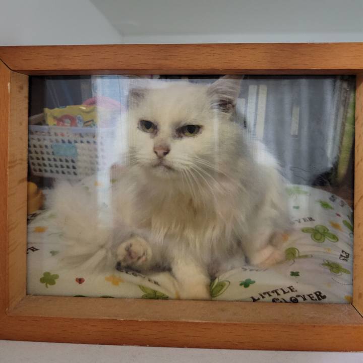 A2129d2e 1118 47d8 96f2 1f29ead11356 1671460405606