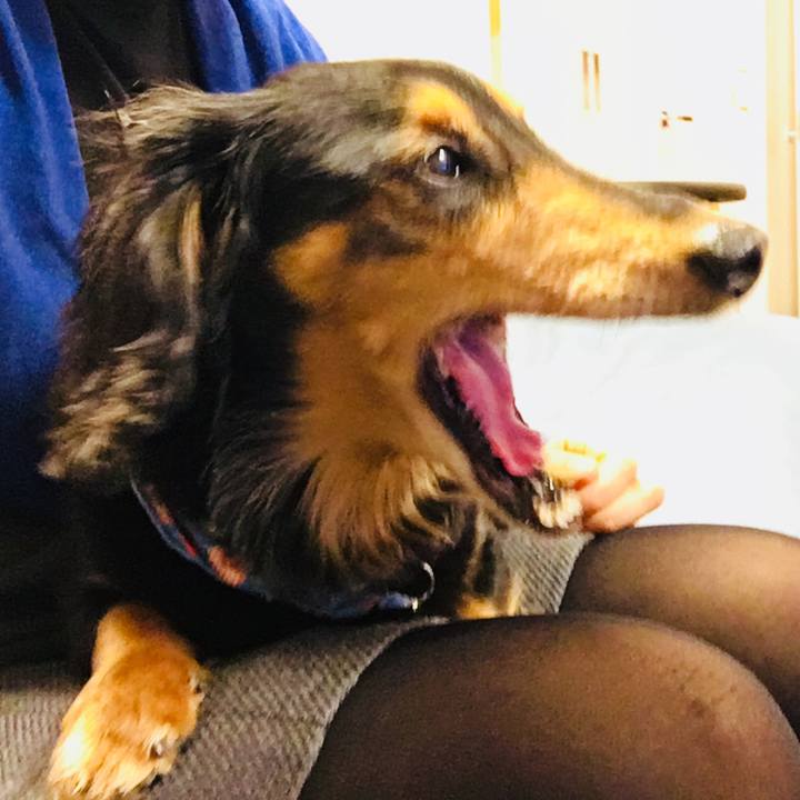 A212a537 88b6 4ef6 bcf4 57ba27e59bee 1520857595049