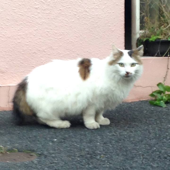 A212c517 e272 45ce 9bf4 0595a12c60b9 1511167149179