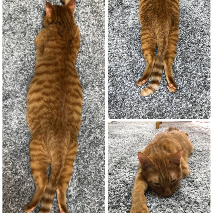 A212ce9b 4e76 4d5f 9d8e 618dcff0db7c 1527213514164