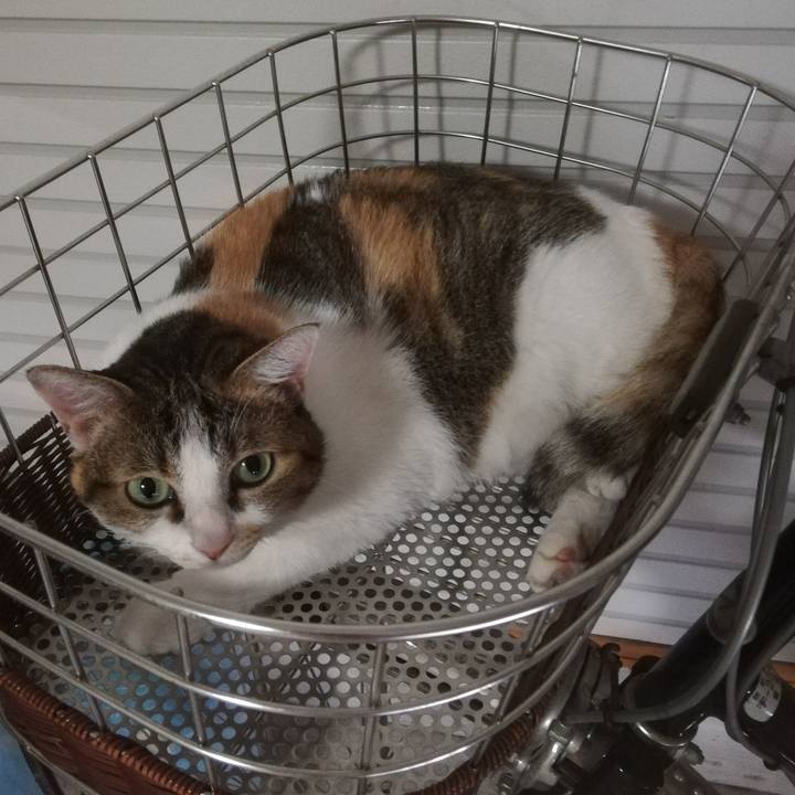 A212d5c6 864d 46d9 a525 0bdc49368d7b 1690413082264