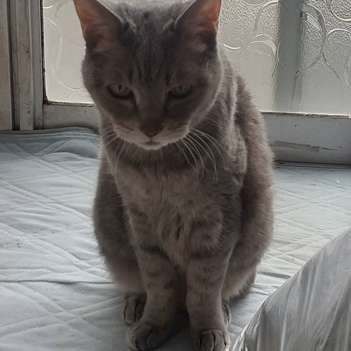 A212e22a 5853 421f b8cd 5e5e3bcef1f6 1665876765699