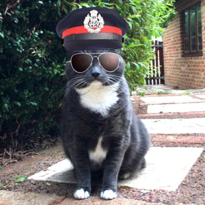 A212f8ca 8fe9 4232 b5f2 90651c6656ab 1566647924350