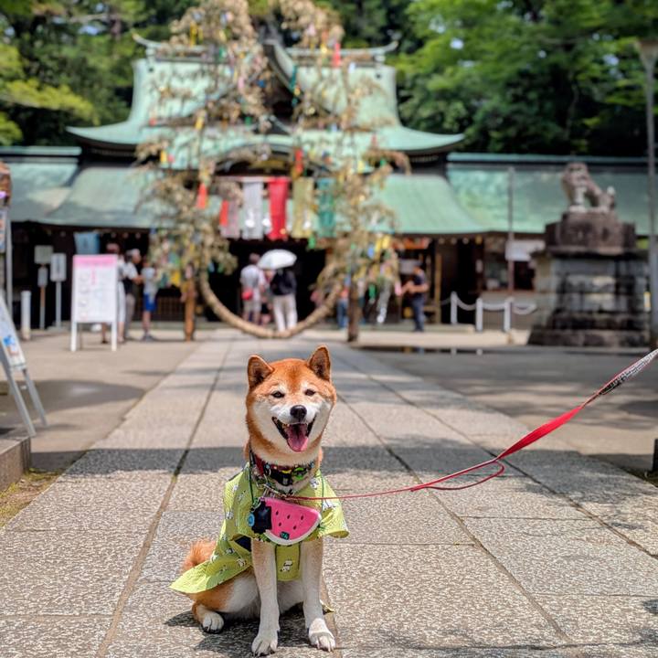 A212fcd0 3a82 43c6 917c 425cf2ceccd5 1751782522814