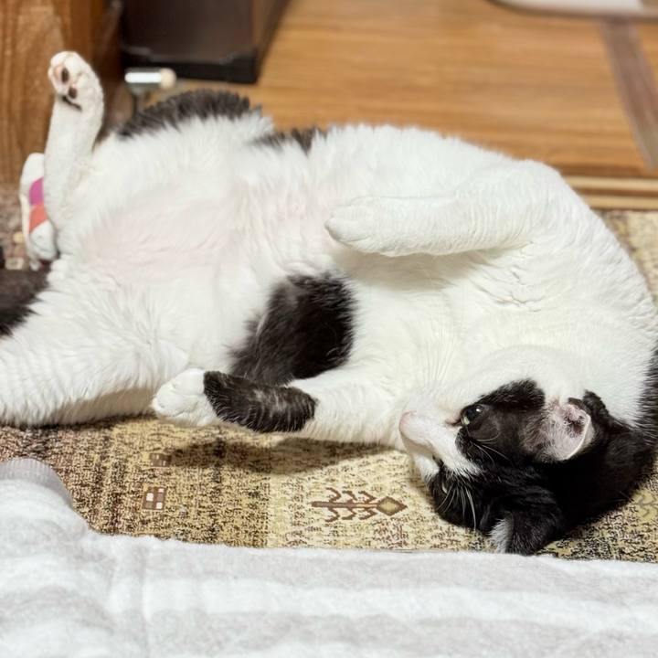 A2130f46 6e17 4d04 a802 02d05306b0d7 1755397330278