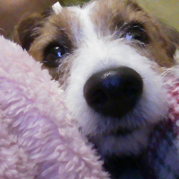 A2133a9b ca33 4457 9213 2194243393cc 1538571877831