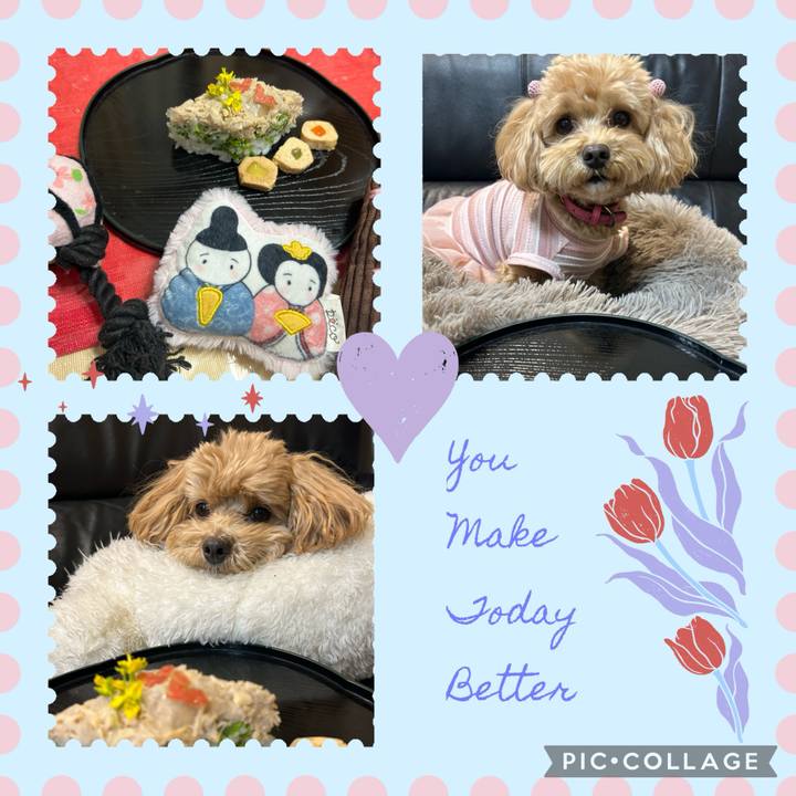 A2134442 a2c6 4e9d 9243 9a4b37b9fb0c 1709416004763