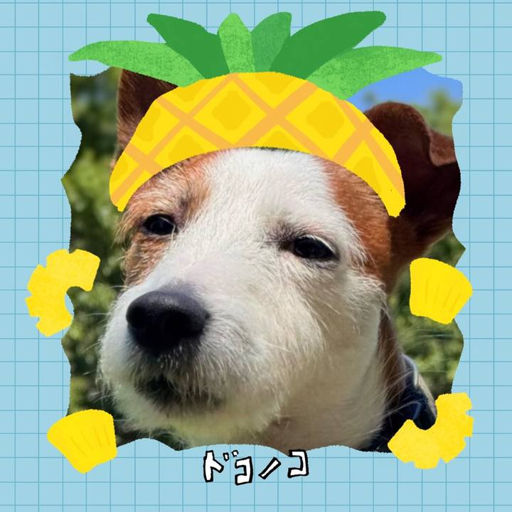 A2134f0f 6968 48a0 94a1 3bdef1a9da86 1783387817248