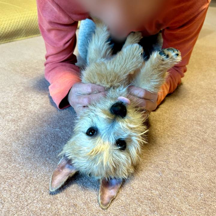 A21391a3 3b6c 48fc a40b f4153d916308 1705817590989