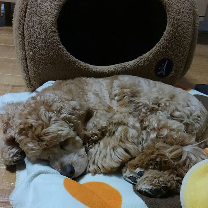 A213c714 1fb4 4ad1 b1c5 5a3f2ae7635f 1511353615454