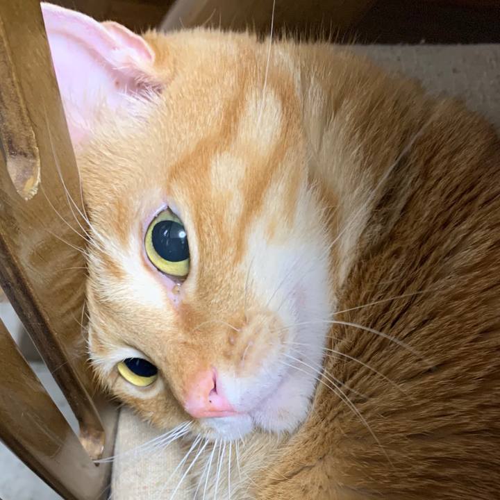 A213cc84 84a5 460e b693 7f72ea72a194 1603512089981