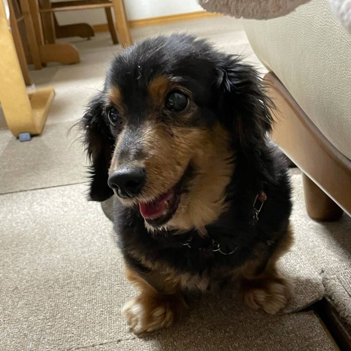 A213e541 4c1c 484b ada8 7b80b7885696 1612748076818