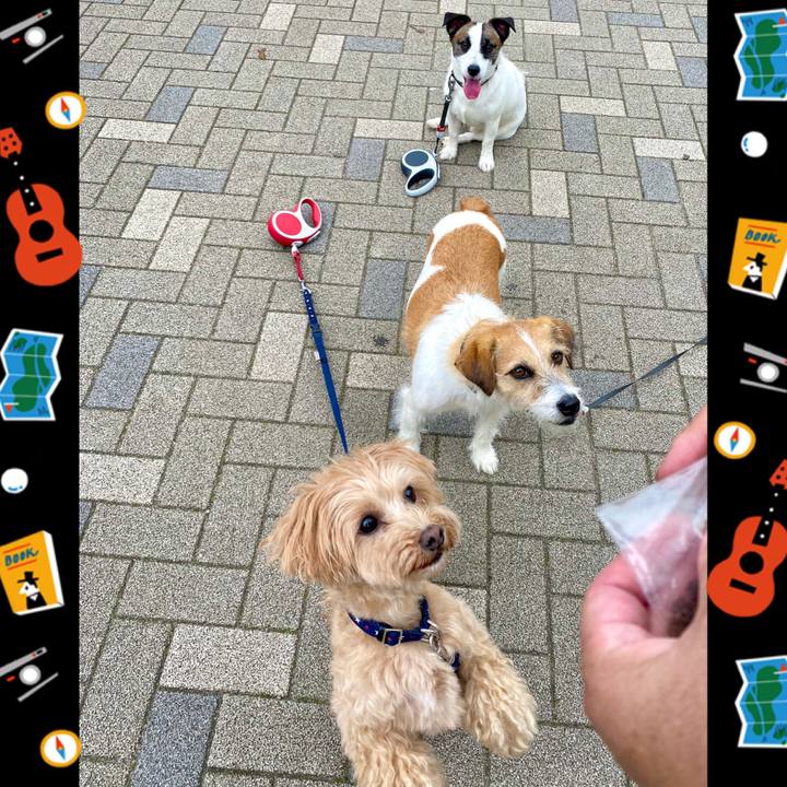 A213fe2f 0c72 4d5b 82f6 5a7b56ff6bd2 1594126870519