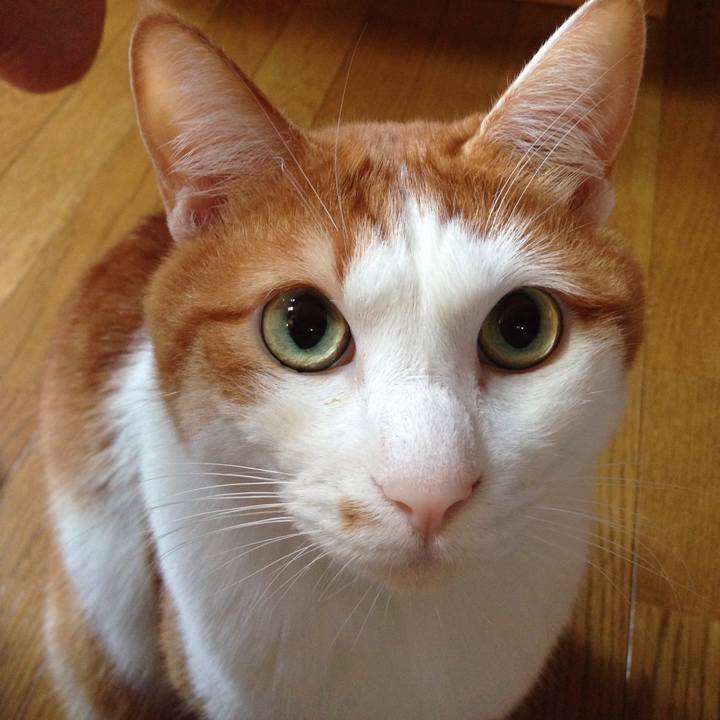 A2140a64 a5be 44a3 ae59 cc3fbd70b42d 1537654255639