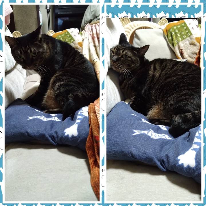 A214213a 0b64 4f5a 8391 51fee591f942 1765891408744