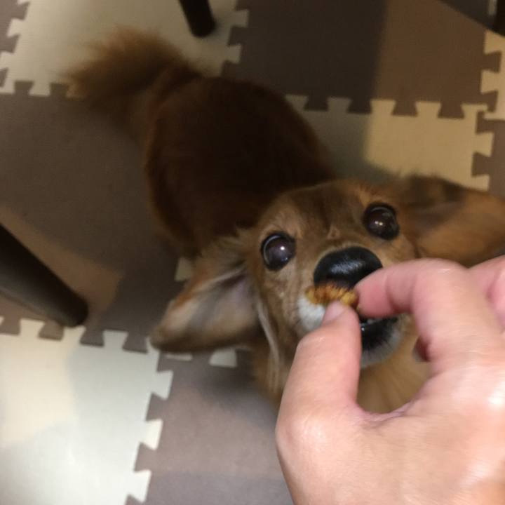 A2142cf9 4bcd 4c77 8afc 8b78399bd6d1 1605013472208