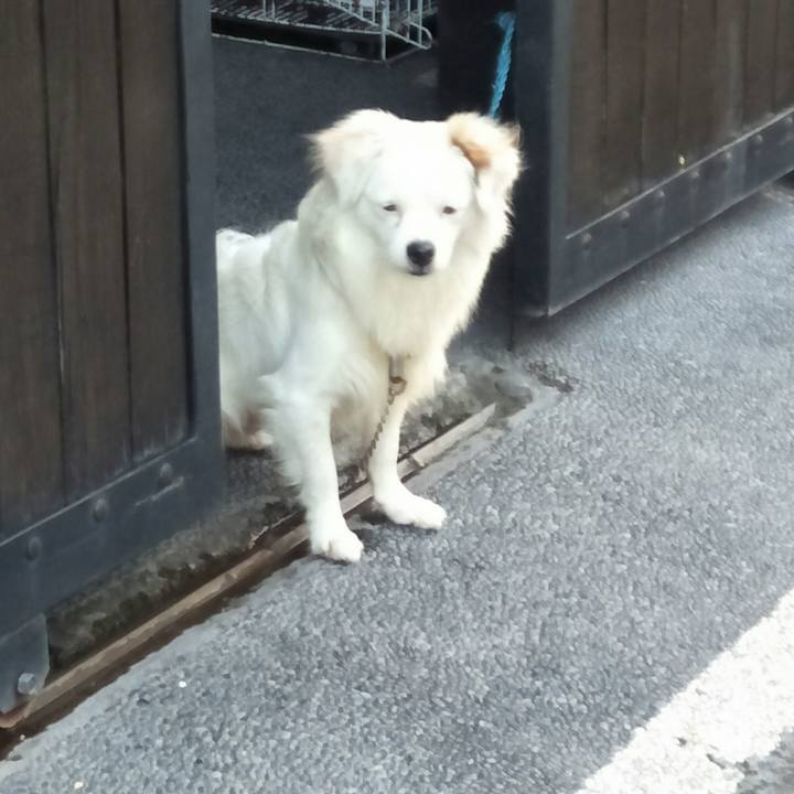 A2144fe2 0672 427b a36f 5af4744fff05 1509184494735