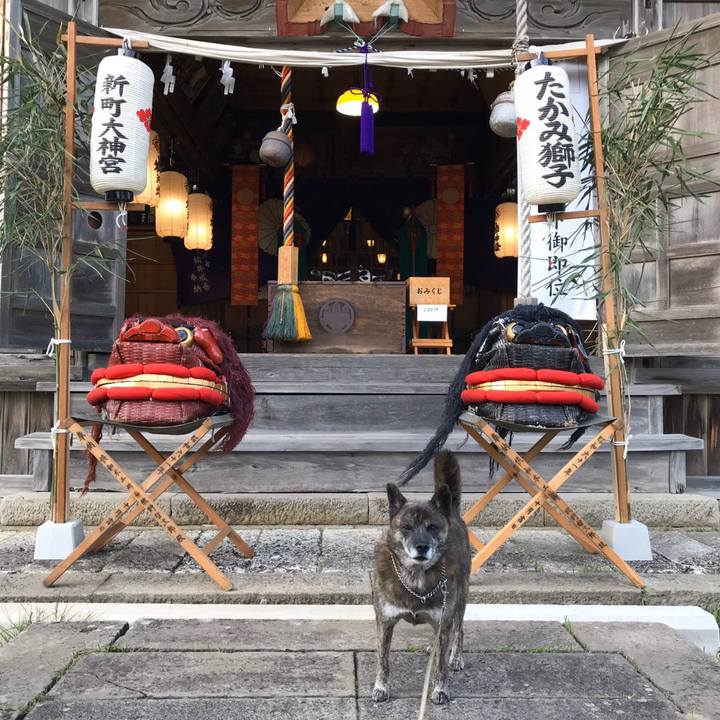 A214c2dd a882 449f a509 a4da0dde9389 1602896451963