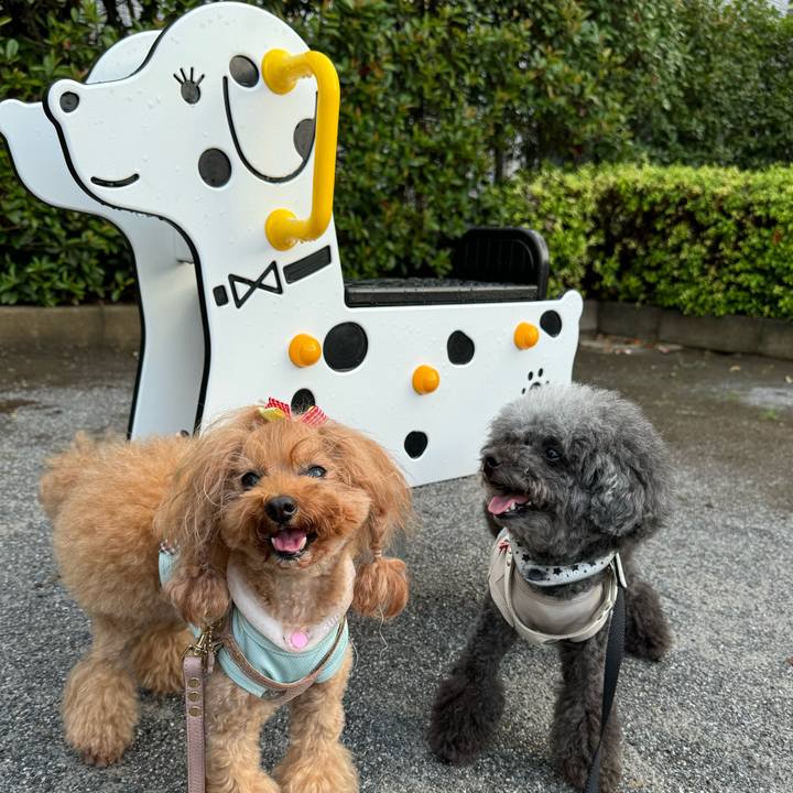 A214c9aa d955 4a2a 9105 9b02e3a1c4b8 1724628337294