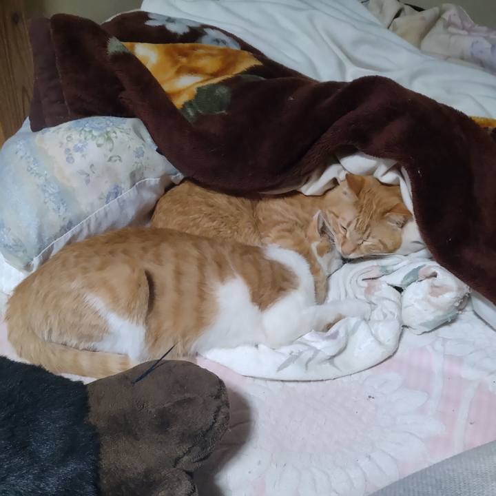 A214fc9b fc12 4250 9c58 10d5c67a05fe 1742966156785