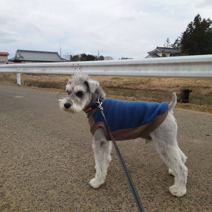 A21514c8 83f7 433f ae80 9c8a312fd233 1768086565128