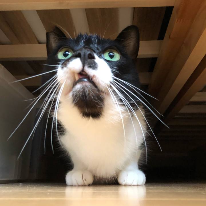 A2151af8 7347 44b6 8236 54096a2698db 1636185746720