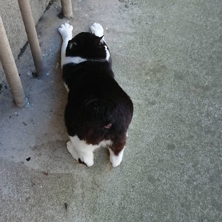 A2151d91 7b99 424e 81d6 1014e0e15cfe 1589693186103