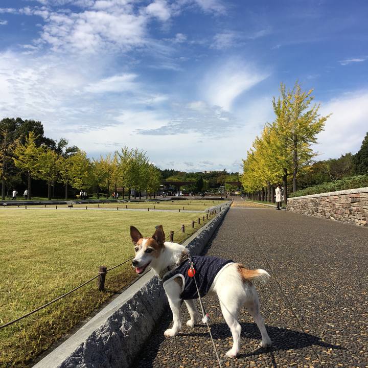 A21559d8 9aec 45c5 9443 140f02ba5883 1602984692456