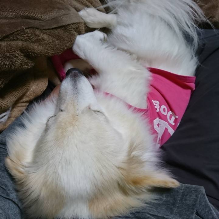 A2155ff7 a201 4890 942a db3c6a6f7692 1516396011716