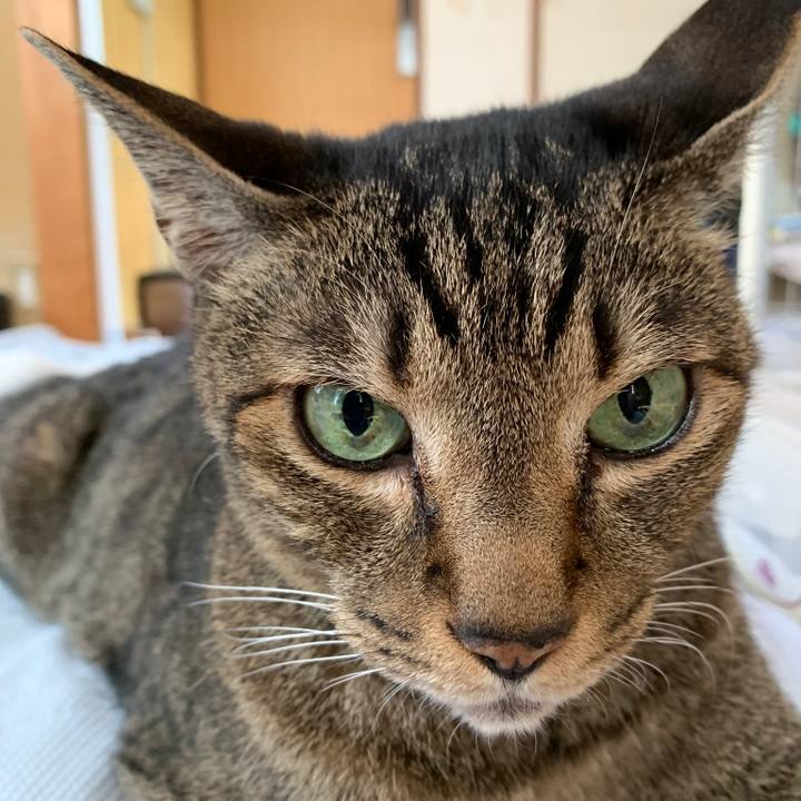 A2158a6e 0879 47a6 91a5 0ef938388eea 1561769631490