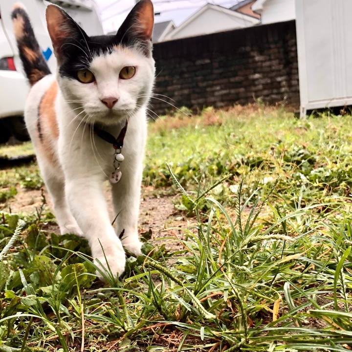 A2158bb9 e503 4a9e 9e88 3773a251ab22 1627771767804