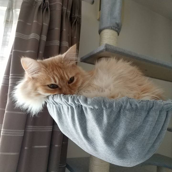 A2159f79 d6d9 4a6e b071 cc0693d744be 1648869742690