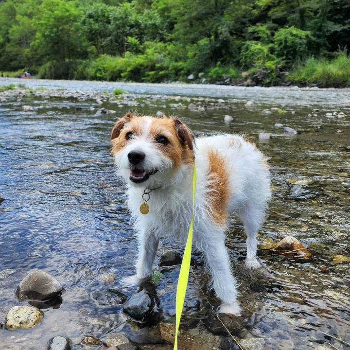 A215b0a5 0f76 4673 908f 8364da30ced1 1660201195454